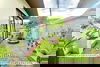 listing thumbnail image 6