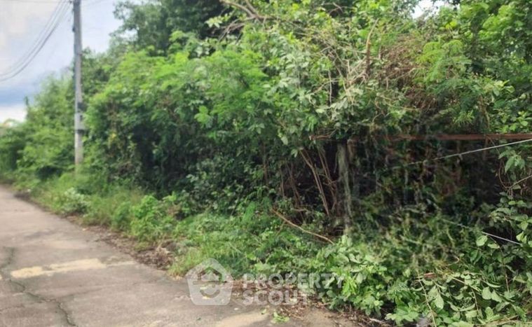 ขายที่ดิน 231 ตร.ว. เขตทวีวัฒนา