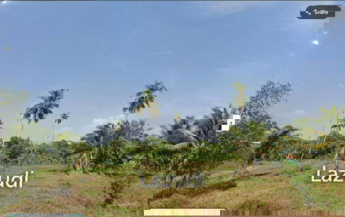 Prime 14,900 sq.m. Land for Sale, Only 5 Minutes from Phuket Airport