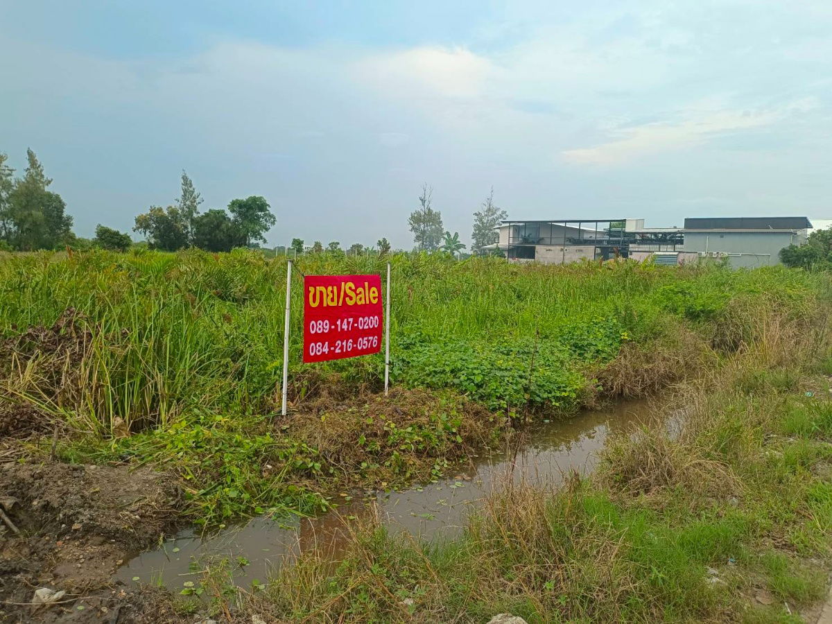 รูป ขาย  ที่ดินเปล่า 1 ไร่  ทีธัญบุรี คลองห้า - รูปที่ 3/6