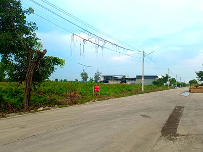ที่ดิน คลองหลวง ปทุมธานี : ขาย  ที่ดินเปล่า 1 ไร่  ทีธัญบุรี คลองห้า