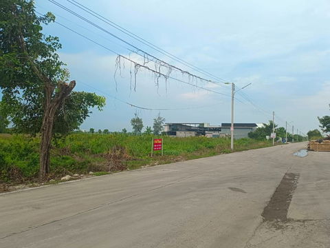 ขาย  ที่ดินเปล่า 1 ไร่  ทีธัญบุรี คลองห้า