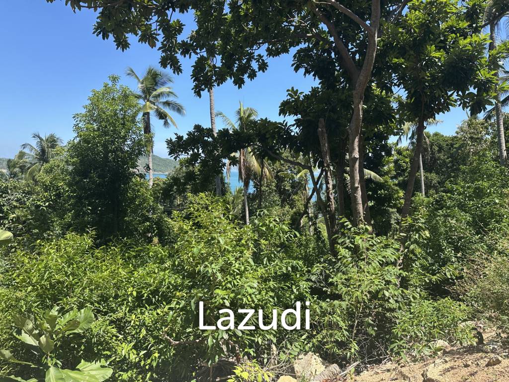 picture Sea View Land for Sale – Challok Area - 1/3