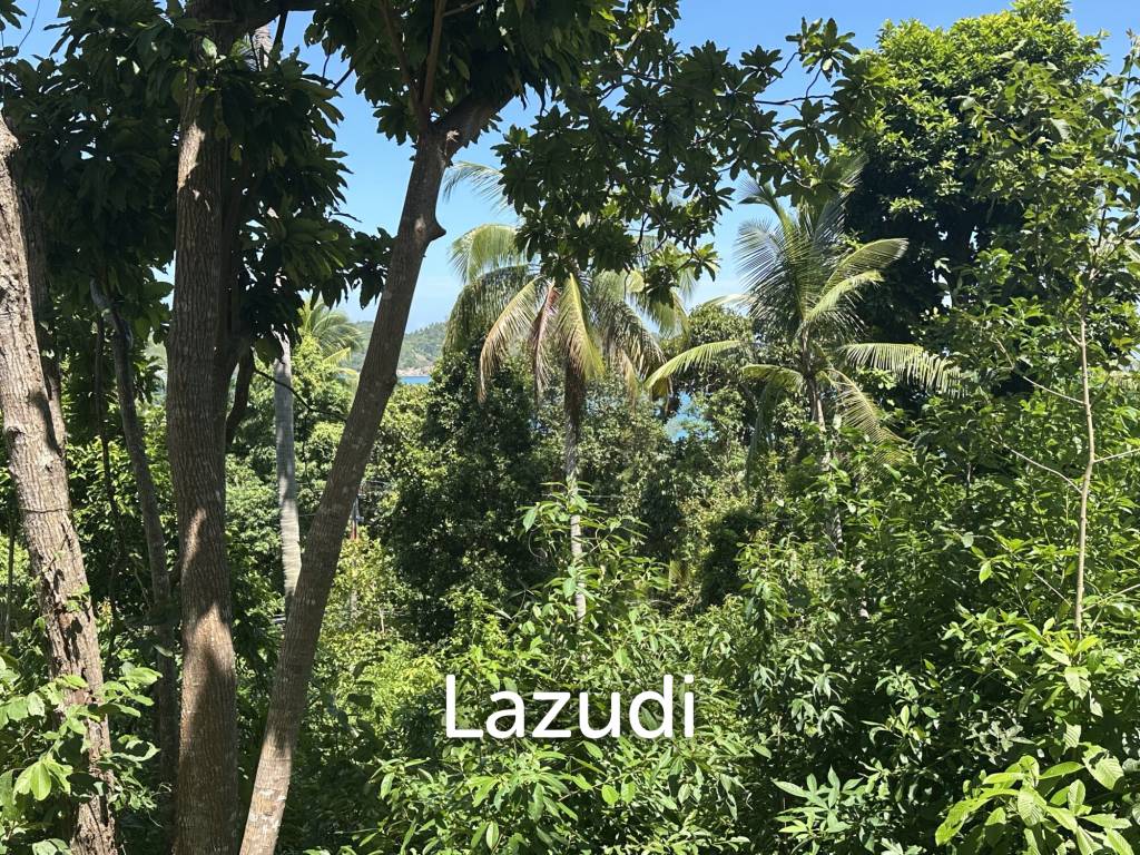 picture Sea View Land for Sale – Challok Area - 2/3