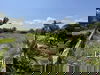 listing thumbnail image 3