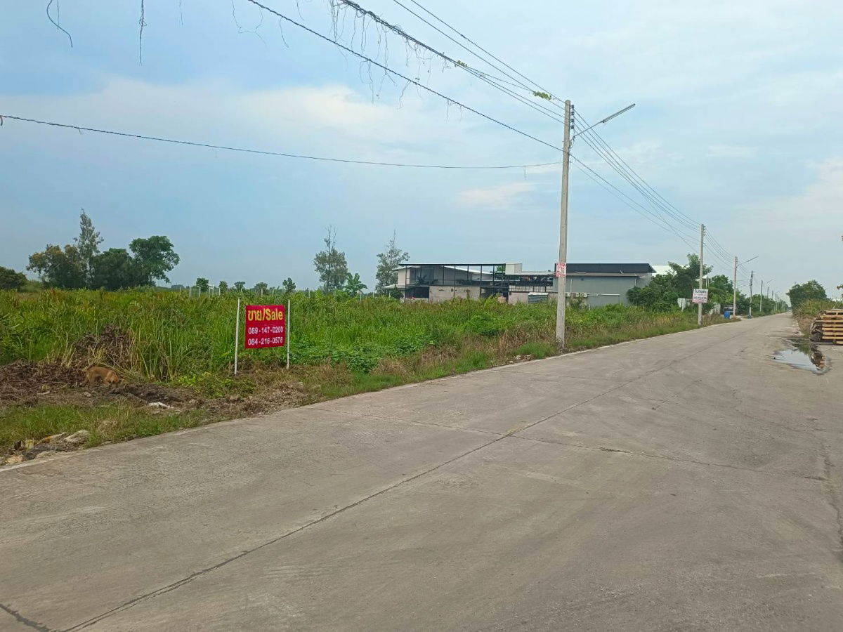 รูป ขาย  ที่ดินเปล่า 1 ไร่  ทีธัญบุรี คลองห้า - รูปที่ 4/6