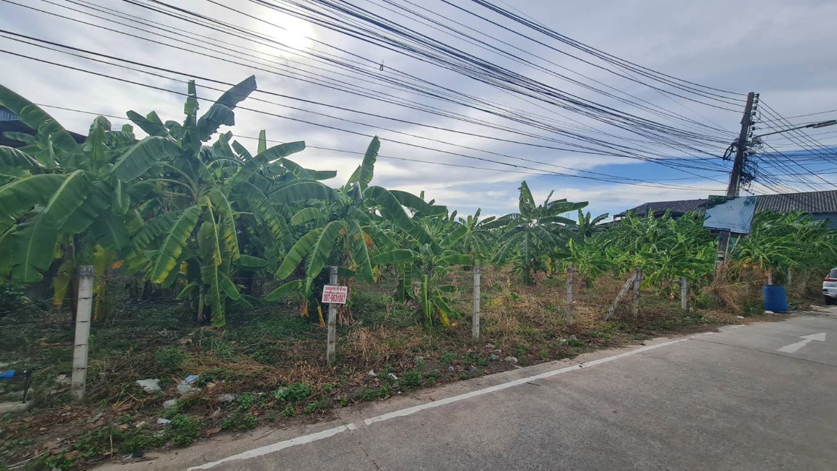 picture Land for SALE in Pattaya, 1 Rai on beach side near Bangkok Pattaya Hospital - 6/8