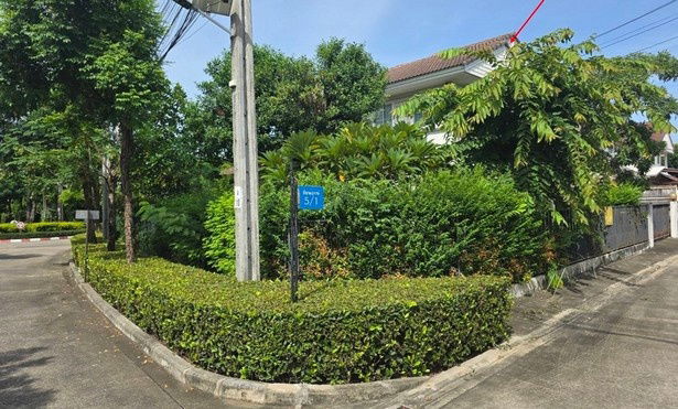 รูป ขายบ้านเดี่ยว 2 ชั้น 75 ตร.ว. หมู่บ้านชัยพฤกษ์ เสาธงหิน บางใหญ่ นนทบุรี - รูปที่ 6/18