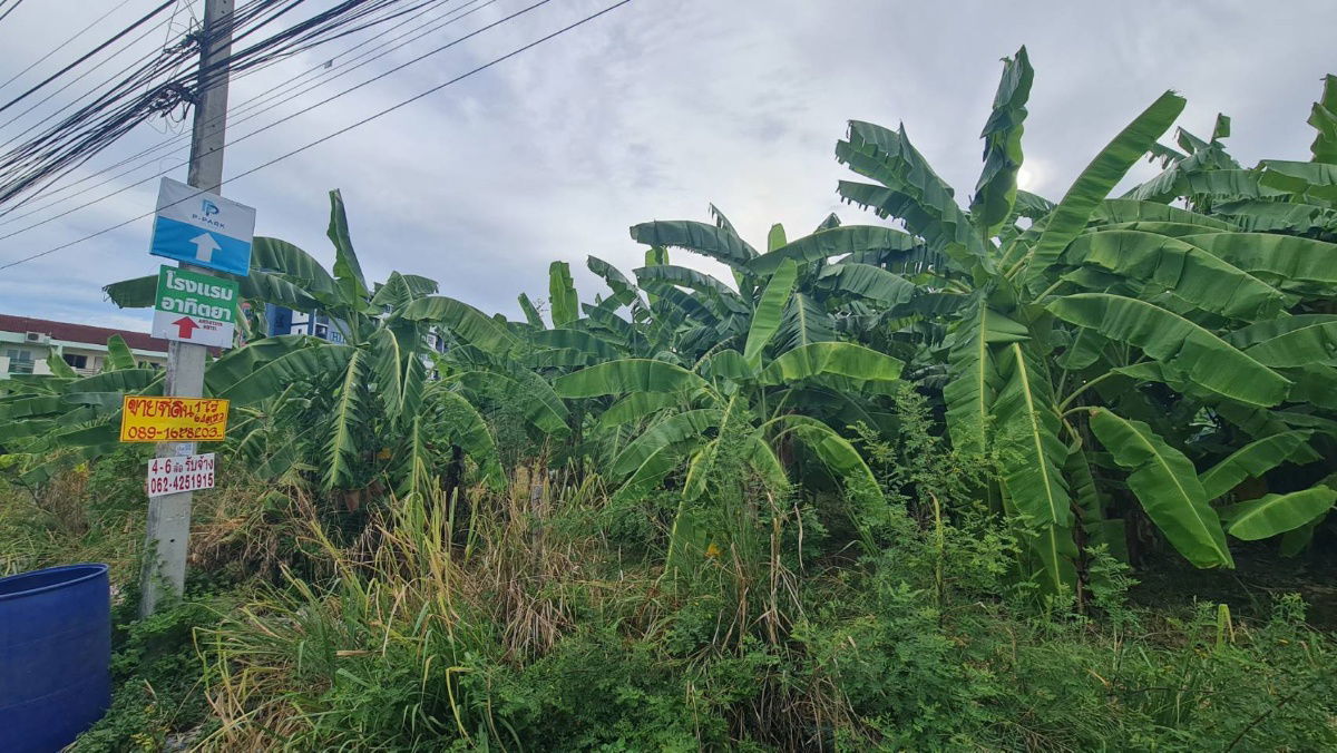 picture Land for SALE in Pattaya, 1 Rai on beach side near Bangkok Pattaya Hospital - 7/8