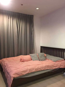  WS3638 For Rent Ideo Mobi Sukhumvit 81 Only 350 meters from BTS On Nut