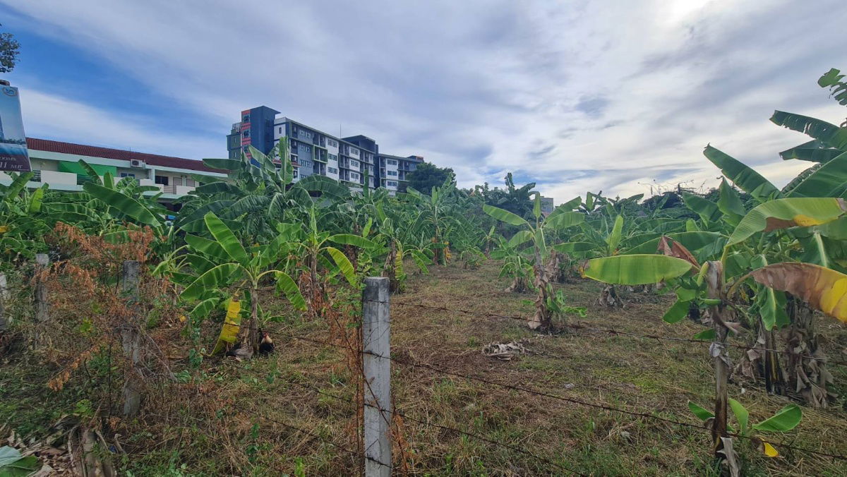 picture Land for SALE in Pattaya, 1 Rai on beach side near Bangkok Pattaya Hospital - 4/8