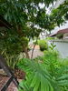 listing thumbnail image 31