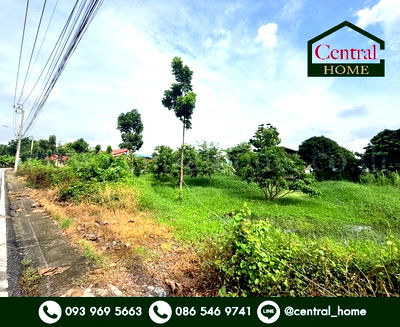 ที่ดิน ถนนราชพฤกษ์ : ที่ดินเปล่า 266 ตร.วา ท่าอิฐ 15 แยกตาลเดียว - วัดบางบัวทอง นนทบุรี