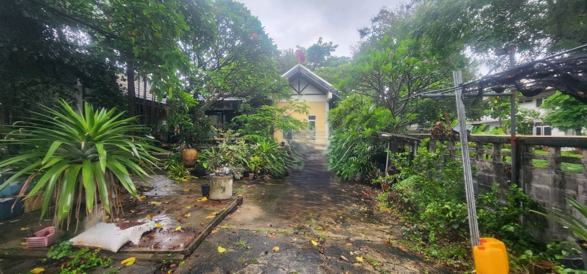 picture For Sale: House with Land in Soi Tiwanon 18 — 219 Square Wah, Excellent Location, Ideal for Residential Living - 1/5