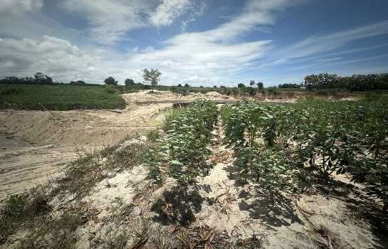 picture Land for sale in Rayong, Ban Chang, size 42 rai 19.8 sq wa, near the beach - 5/8