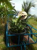listing thumbnail image 3