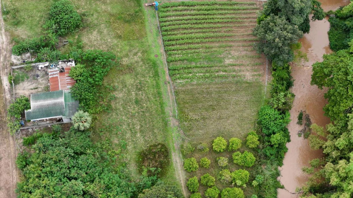 รูป ที่ดินติดริมน้ำวิวเขาปากช่อง.( 3-3-12 ไร่.)( 5,500 บ./ตร.วา )  | ( น.ส.3ก ) หายาก ราคาพิเศษ!! - รูปที่ 3/18