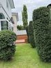 listing thumbnail image 18