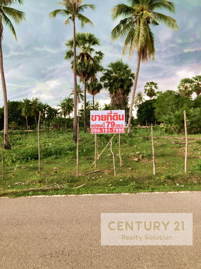 รูป ขายที่ดิน 79 ตรว. ซอย บางเกตุ 11 ชะอำ ทางเข้า ยูเรเซีย ชะอำ - รูปที่ 5/7