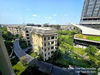 listing thumbnail image 11