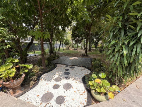 picture For rent, single house, corner house, 4 bedrooms, Sukhumvit 71, Soi Pridi Banomyong 14, near BTS Phra Khanong, 340 sq m, 2 floors - 6/11