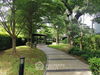 listing thumbnail image 3