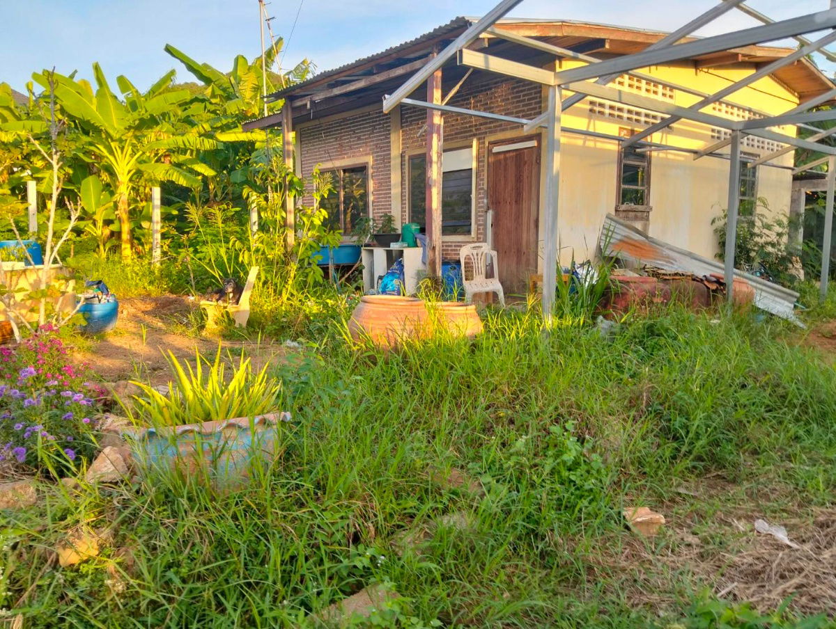 รูป ที่ดิน 59 ตรว.พร้อมบ้าน 1 หลัง แถวศรีราชา ใกล้สุขุมวิท 300 เมตร - รูปที่ 4/4