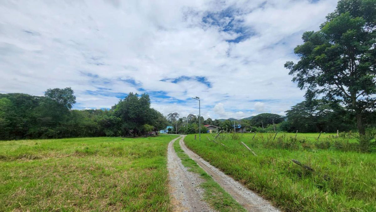 รูป ที่ดินติดริมน้ำวิวเขาปากช่อง.( 3-3-12 ไร่.)( 5,500 บ./ตร.วา )  | ( น.ส.3ก ) หายาก ราคาพิเศษ!! - รูปที่ 15/18