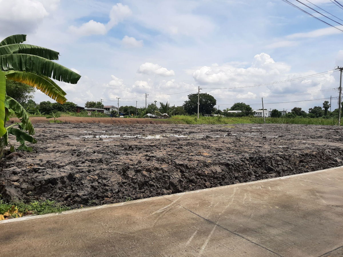 รูป ขาย ที่ดินถมแล้ว ใกล้ ม.ธรรมศาสตร์รังสิต - รูปที่ 1/1