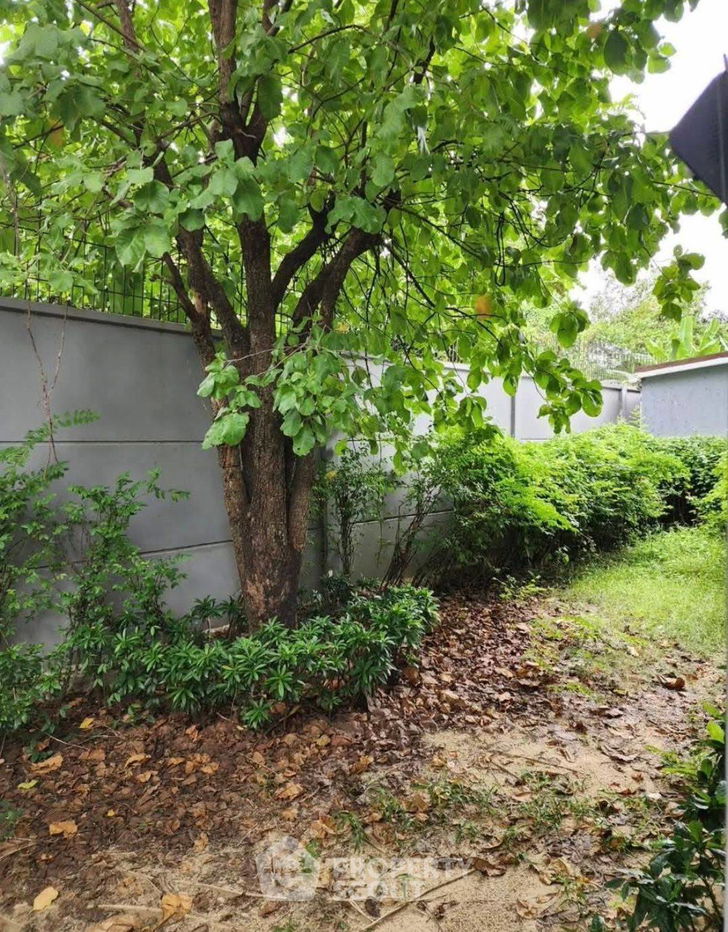 รูป บ้าน 3-ห้องนอน ที่ เศรษฐสิริ จรัญฯ-ปิ่นเกล้า ใน บางขุนศรี (ID 2312033) - รูปที่ 11/17