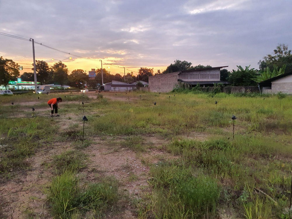รูป Call : 093-693-3200 ที่ดินเปล่า ติดถนนใหญ่ เชียงใหม่ อำเภอสารภี 550 ตารางวา - รูปที่ 8/11