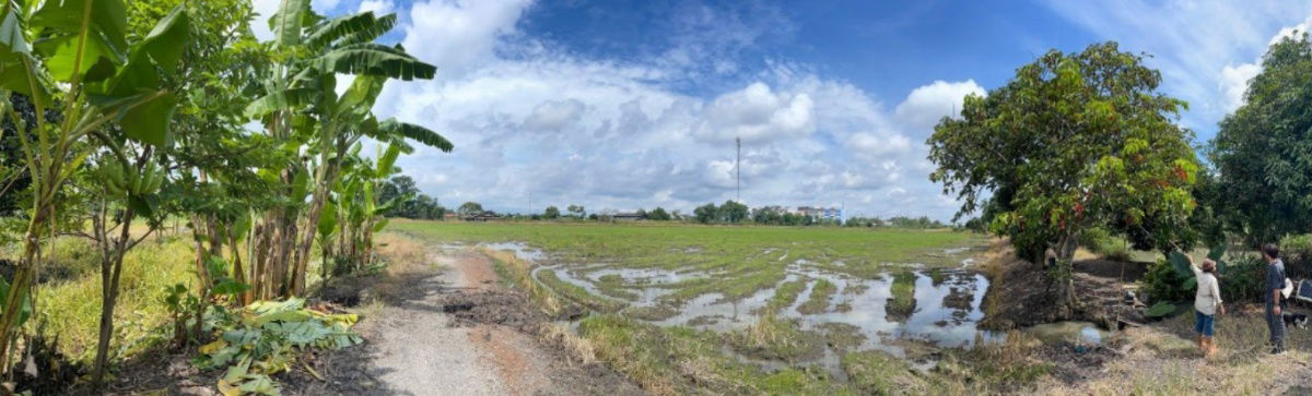 รูป ขายที่ดินติดถนนใหญ่ บางน้ำเปรี้ยว จ.ฉะเชิงเทรา ทำเลทอง ใกล้สนามบินสุวรรณภูมิ - รูปที่ 5/8