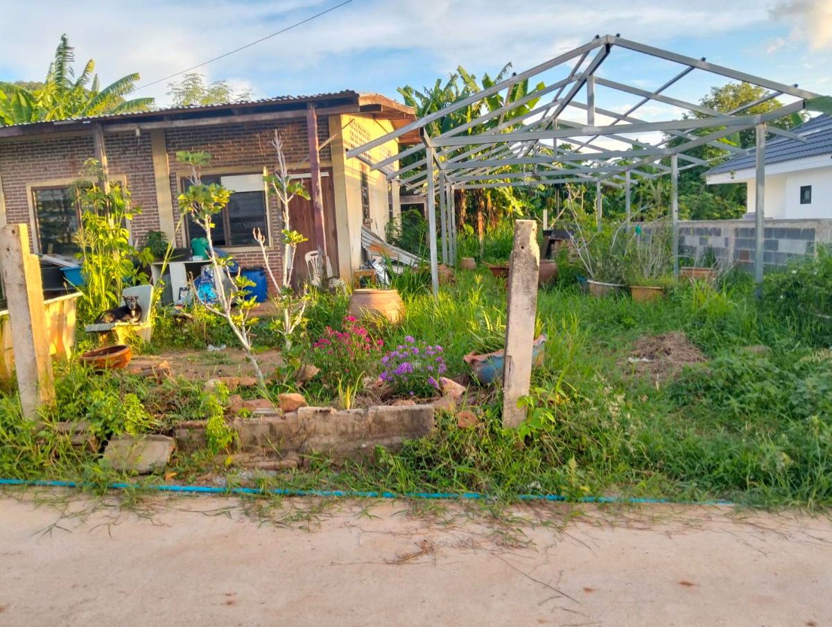 รูป ที่ดิน 59 ตรว.พร้อมบ้าน 1 หลัง แถวศรีราชา ใกล้สุขุมวิท 300 เมตร - รูปที่ 3/4