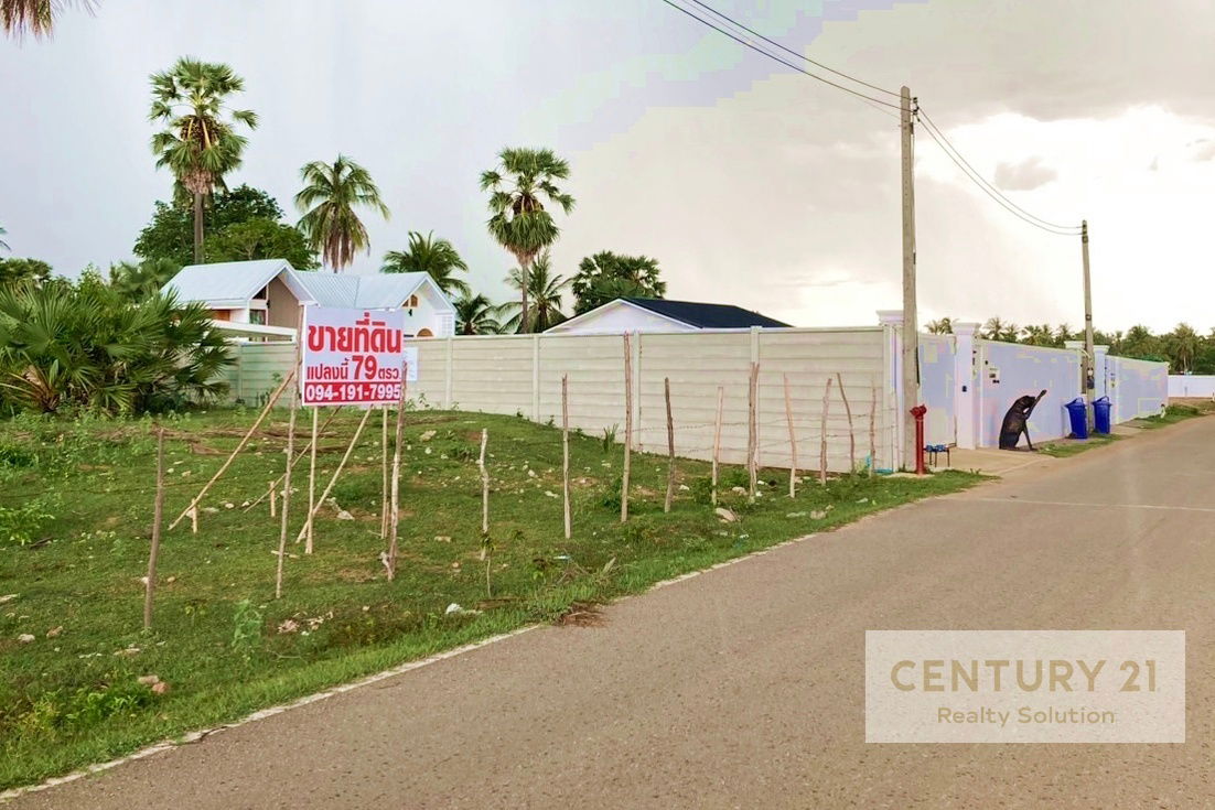 รูป ขายที่ดิน 79 ตรว. ซอย บางเกตุ 11 ชะอำ ทางเข้า ยูเรเซีย ชะอำ - รูปที่ 4/7