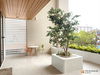 listing thumbnail image 12