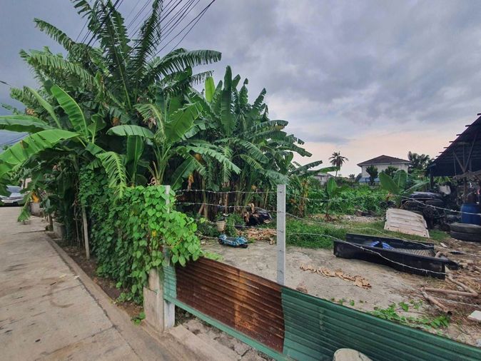 ขายที่ดิน 200 ตร.ว. เขตบางแค