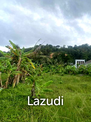 Land for sale Kamala Beach  : Prime 1,792 SQ.M Plot of Land for Sale in Kamala