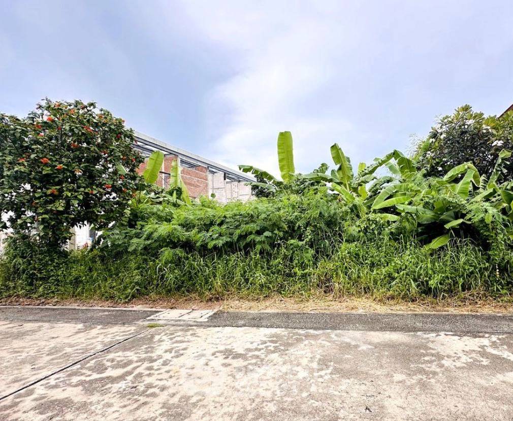 picture 677.2 m² Land for Sale in Bang Chak (ID 2311771) - 4/4