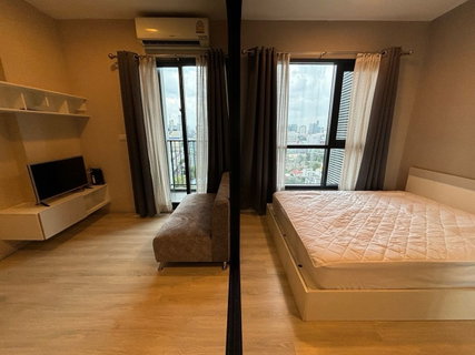รูปภาพ Code: KJ8793  for rent Condolette Midst Rama 9 // Line ID: @kjcondo (with @) //