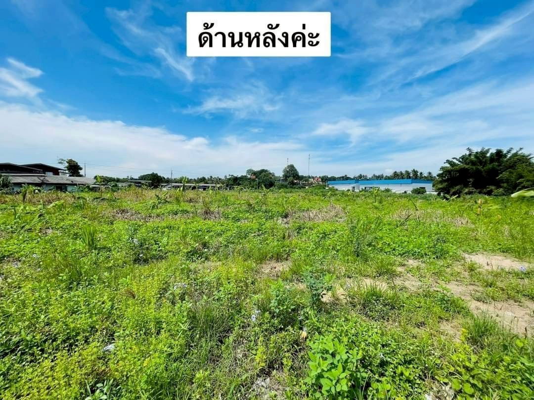 picture For sale or purchase of land in Huabon, Sriracha, 6-01-05 rai / 3-03-09 rai, suitable for a housing project or commercial building. Line ID: @951qfbfi - 1/8