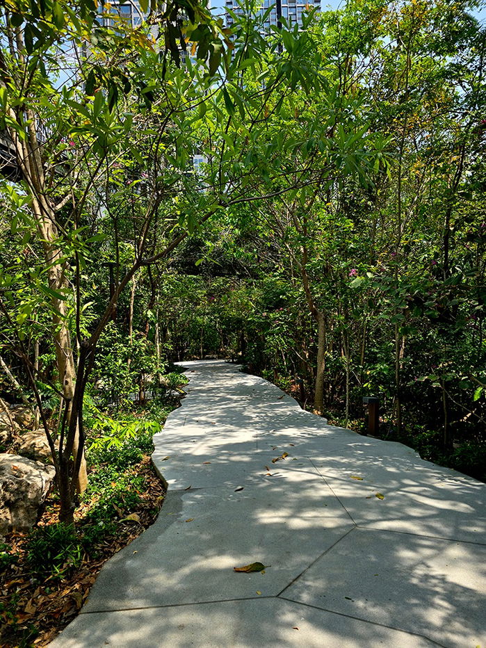 รูป THE ASPEN TREE THE FORESTIAS Bangna ที่พักระดับ Luxury Premium สำหรับสังคมวัยอิสระ 50 ปีขึ้นไป (Retirement Community) แห่งเดียวในประเทศไทย - รูปที่ 23/23