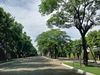 listing thumbnail image 23