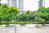 listing thumbnail image 20
