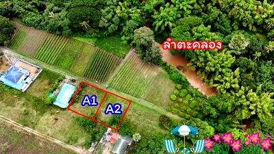 ที่ดิน ปากช่อง โคราช : ขายที่ดินหลังสถานีรถไฟความเร็วสูงปากช่อง บ.เขาเสด็จ / ท่างอย  | ใกล้ริมน้ำ & วิวเขา ( น.ส.3ก ) ราคาพิเศษ!! 