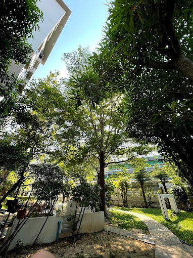 picture Condo for sale, Sukhumvit 77 ✨ Ready to move in, convenient transportation, near the BTS station 🚆 - 10/12