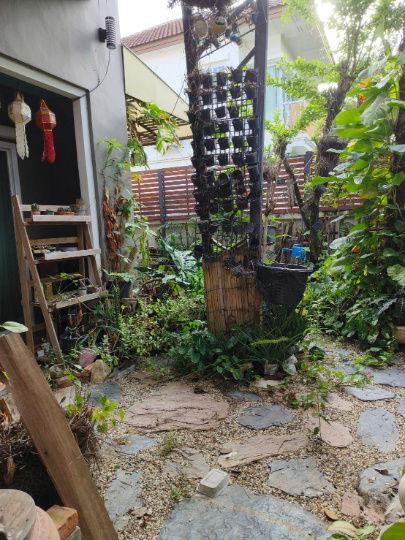picture Sinthanee Grand Ville Rangsit Klong 5 - 12/17
