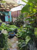 listing thumbnail image 15