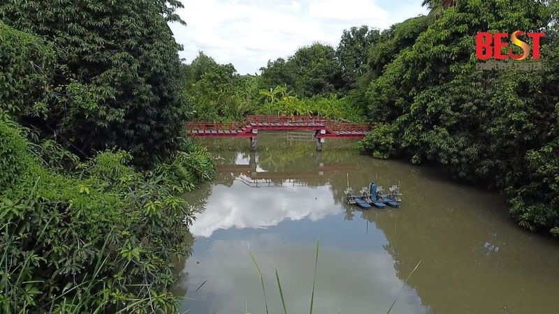 รูป ขายบ้านสวนริมคลองบางโพธิ์เหนือ สามโคก ปทุมธานี บ้านเดี่ยวสร้างเอง สไตล์บ้านสวน บนพื้นที่กว่า 2 ไร่ เงียบสงบ ร่มรื่น ใกล้กรุงเทพฯ - รูปที่ 23/24