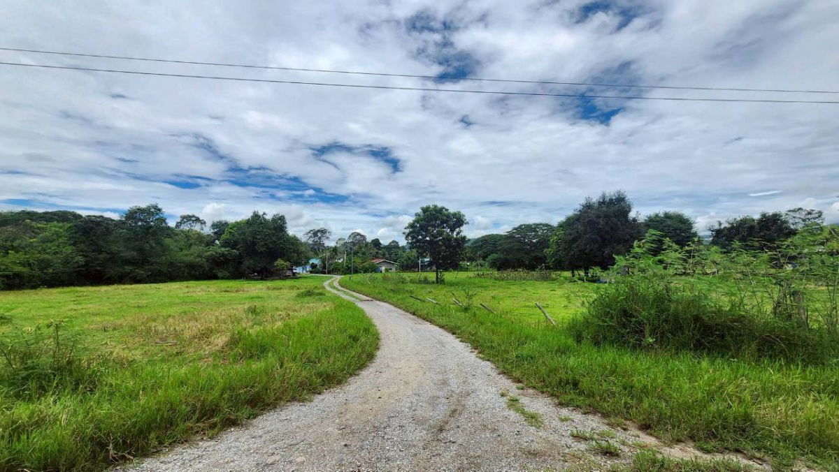 รูป ขายที่ดินหลังสถานีรถไฟความเร็วสูงปากช่อง บ.เขาเสด็จ / ท่างอย  | ใกล้ริมน้ำ & วิวเขา ( น.ส.3ก ) ราคาพิเศษ!!  - รูปที่ 7/19