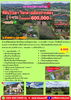 listing thumbnail image 17